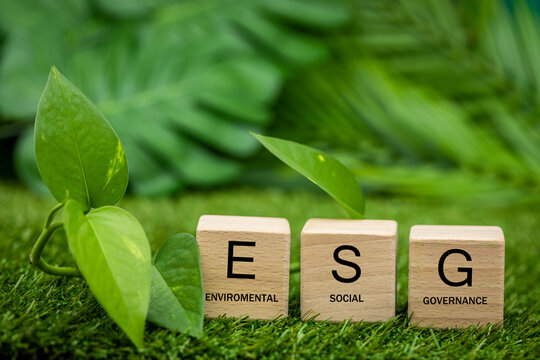 What is an ESG Audit? ESG Audit Checklist & Best Practices