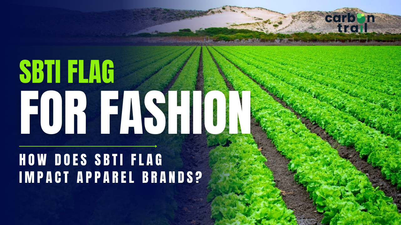 SBTi FLAG for Fashion: How Does SBTi FLAG Impact Apparel Brands?