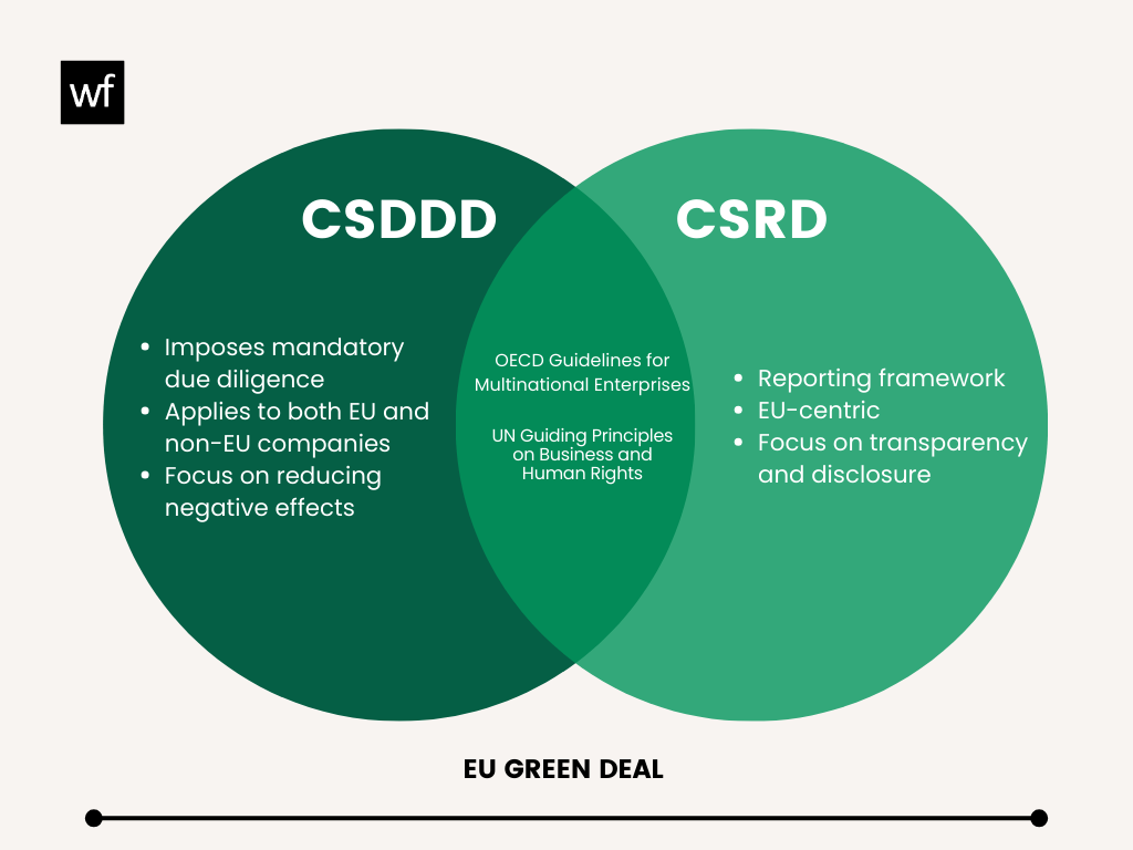 CsDDD vs. CSRD whats the difference