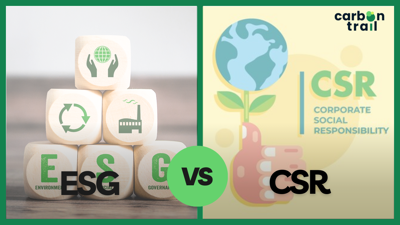 ESG vs CSR: What's the Difference Between CSR and ESG?