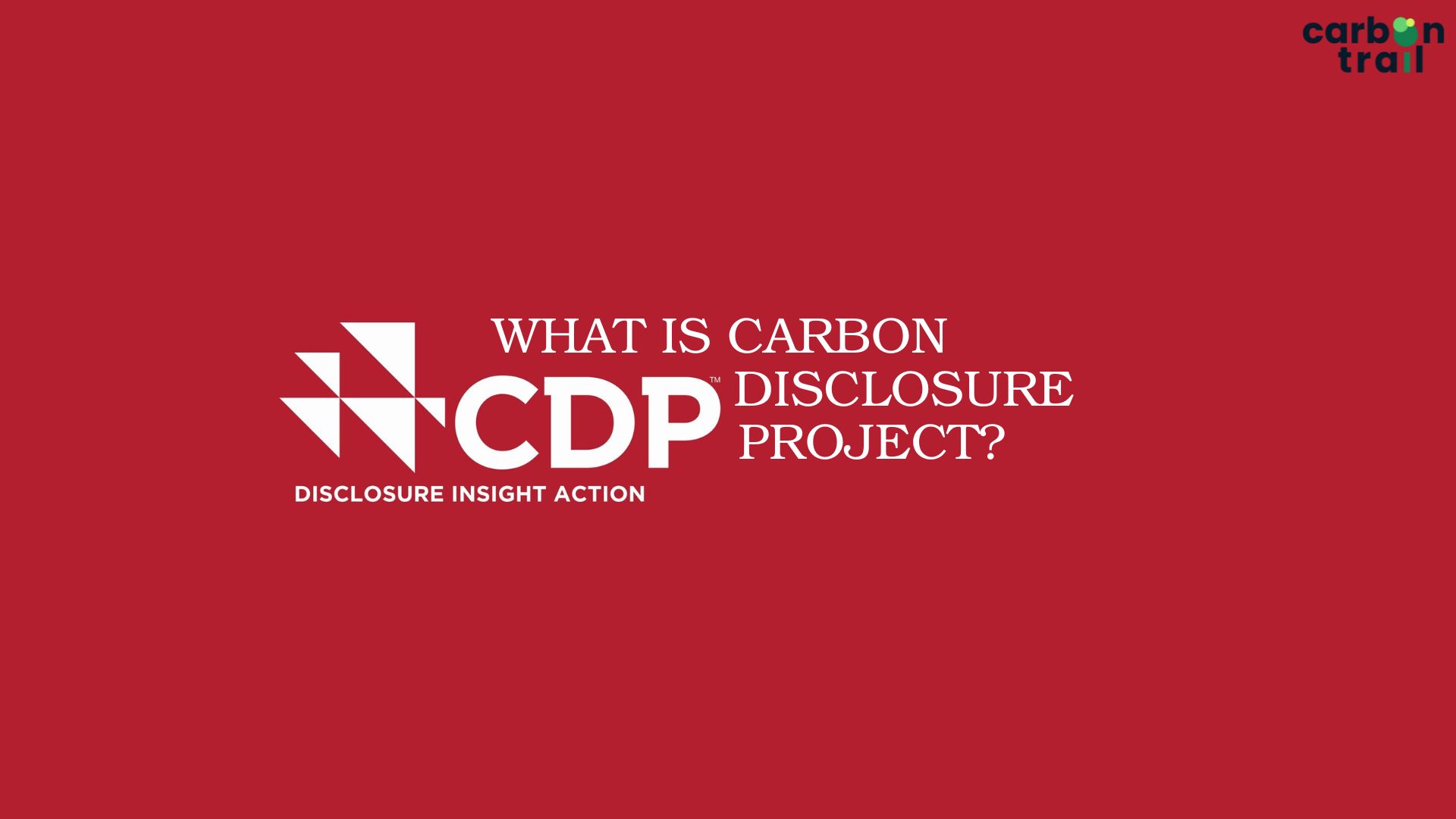What is the CDP? | Carbon Disclosure Project Explained