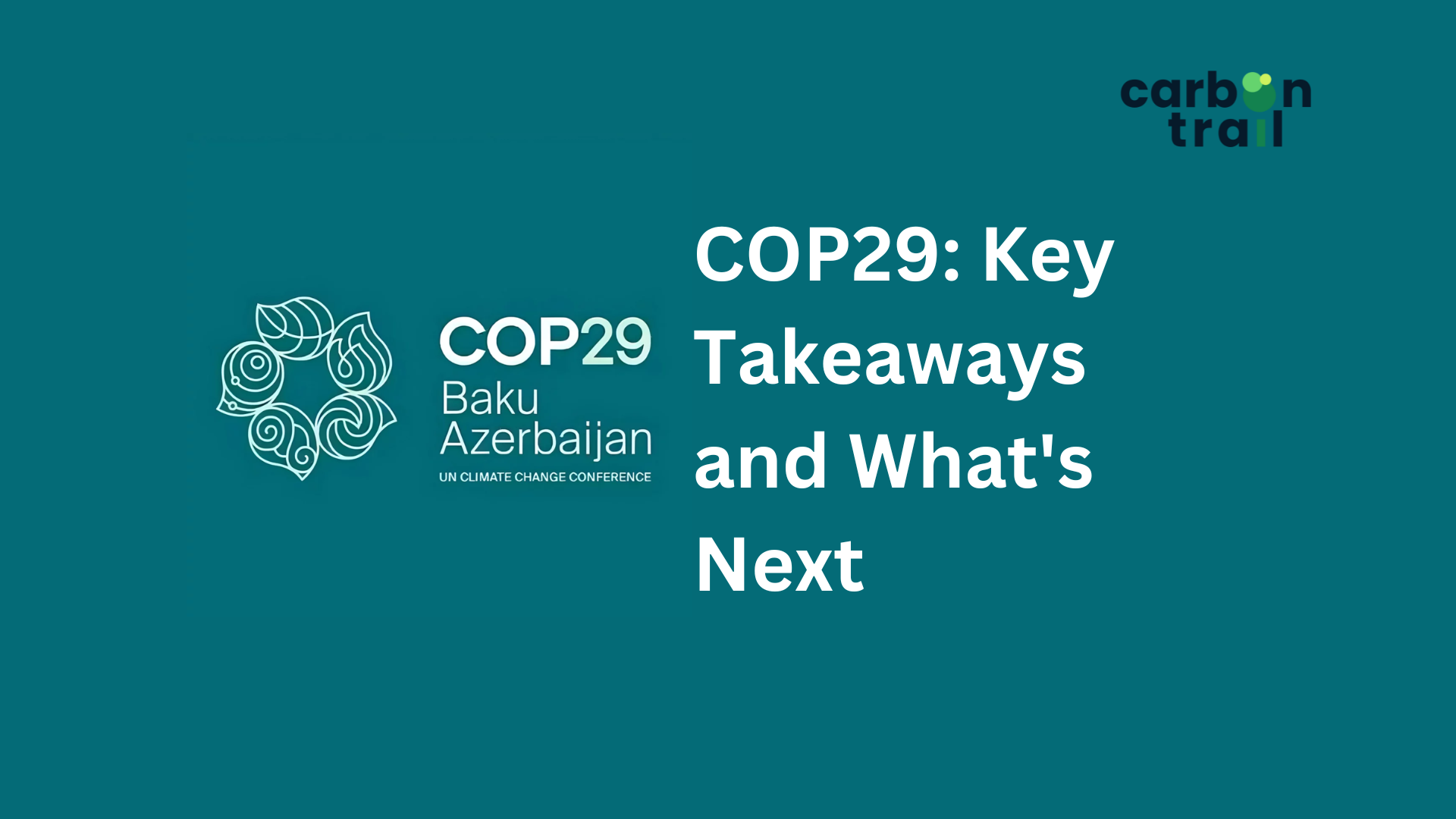 COP29: Key Takeaways and What's Next