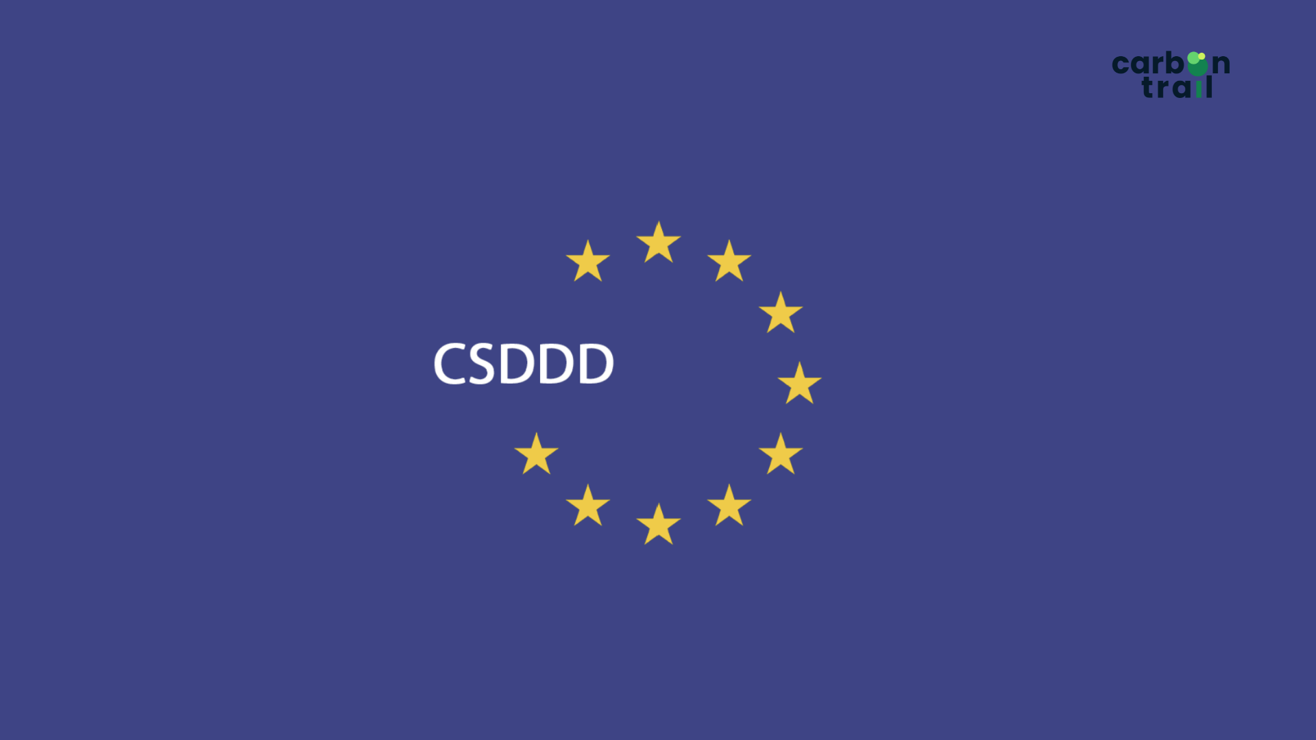 The Corporate Sustainability Due Diligence Directive (CSDDD)