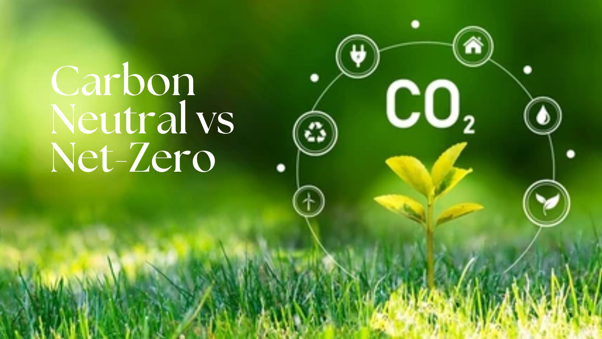 Carbon Neutral vs. Net Zero: What's the Difference?