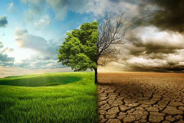 Carbon Management: What is Carbon Management and Why is it Important