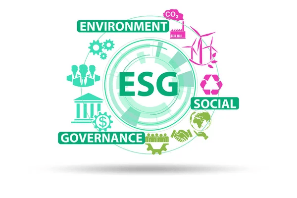 ESG in Fashion: Navigating ESG Challenges