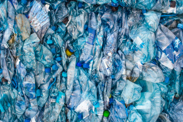bottle pet plastic prepare to recycle