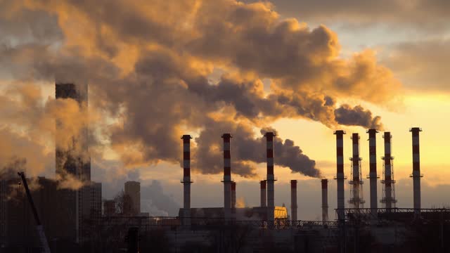 What Are Carbon Emissions & How to Reduce Carbon Emissions?