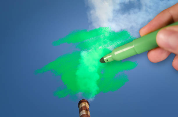 Understanding the Green Claims Directive and Its Impact on the Retail Industry