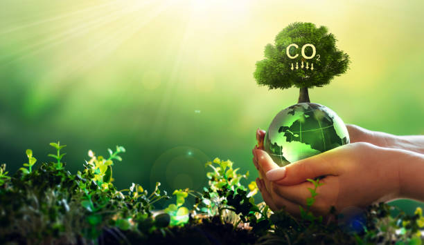 Carbon Footprint Challenges: Reducing Carbon Footprint