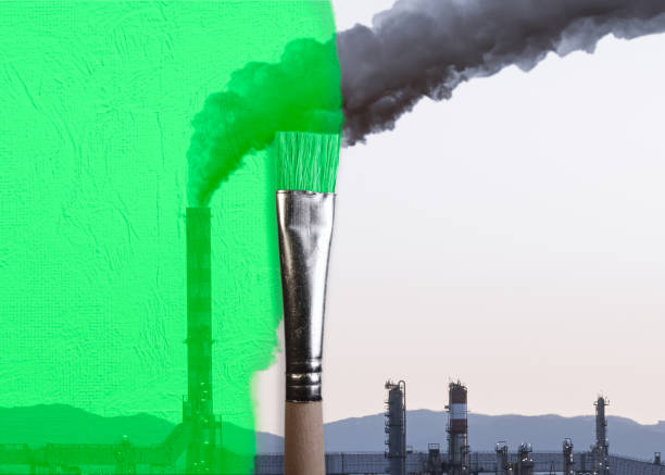 How to Avoid Greenwashing