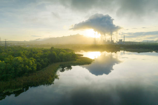 Carbon Sequestration: The Key to Reversing Climate Change?