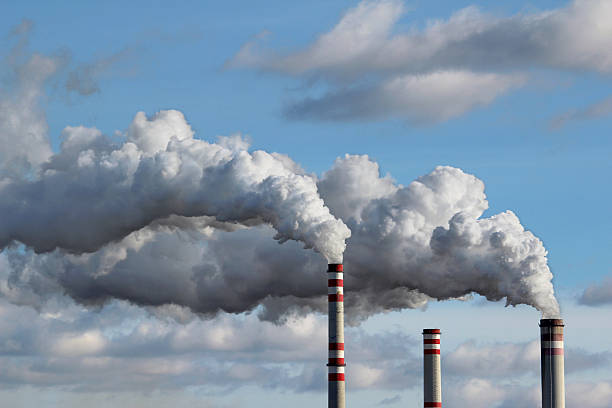 Scope 4 Emissions: What are Scope 4 Emissions & How to Calculate?