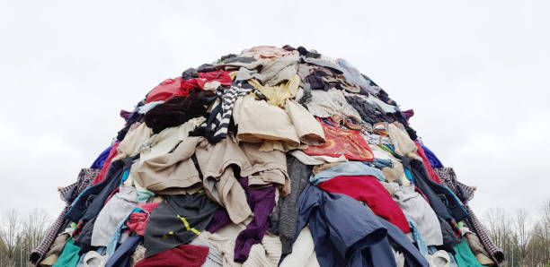 Fast Fashion and Its Environmental Impact in 2025