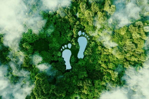 Carbon Footprint - What is a Carbon Footprint and Why is it Important?